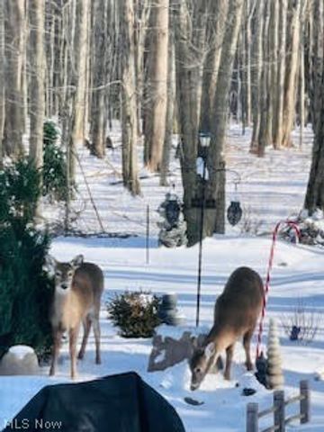 179 Herrmann Drive, Avon Lake, OH 44012