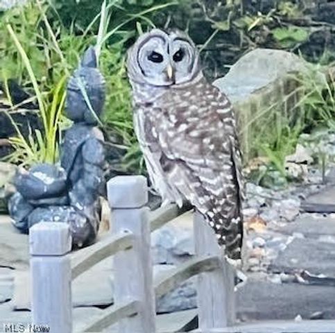 179 Herrmann Drive, Avon Lake, OH 44012