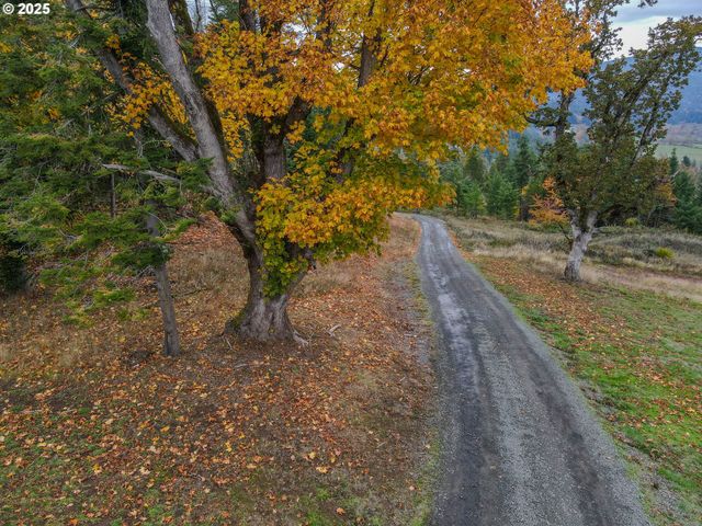 78714 BRYSON SEARS Rd, Cottage Grove, OR 97424