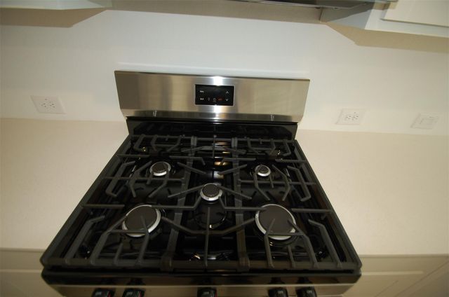 16219 Domestic Dove Way, Hockley, TX 77447