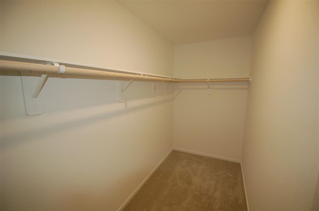 16219 Domestic Dove Way, Hockley, TX 77447