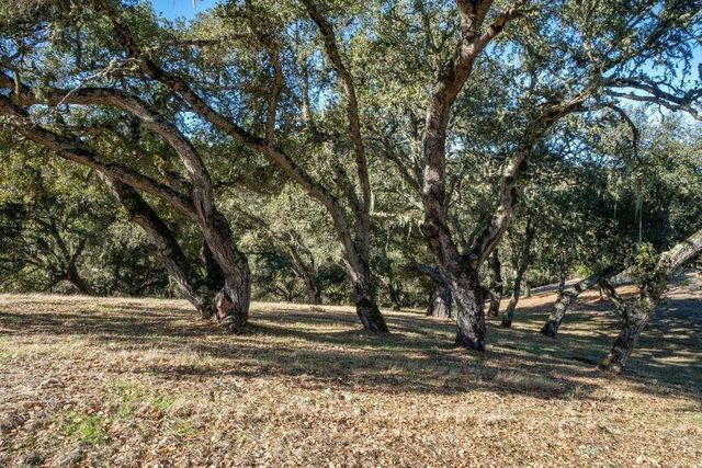 17114 Cachagua Road, Carmel Valley, CA 93924