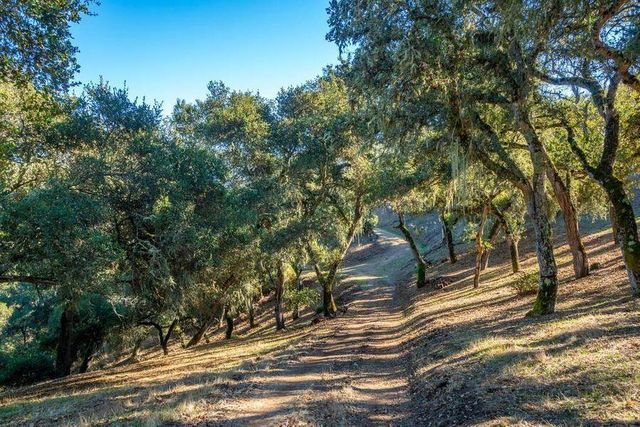 17114 Cachagua Road, Carmel Valley, CA 93924