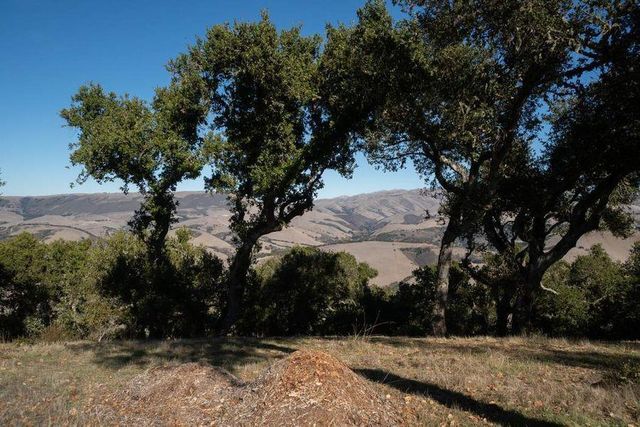 17114 Cachagua Road, Carmel Valley, CA 93924