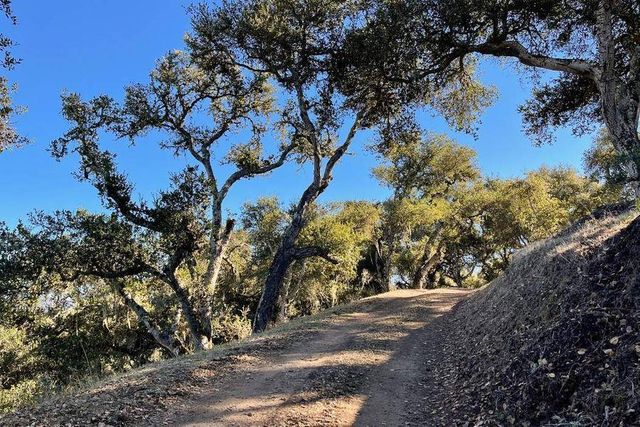 17114 Cachagua Road, Carmel Valley, CA 93924