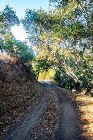 17114 Cachagua Road, Carmel Valley, CA 93924