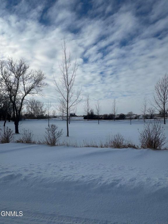 4 Lots On Pierce Street, Noonan, ND 58765