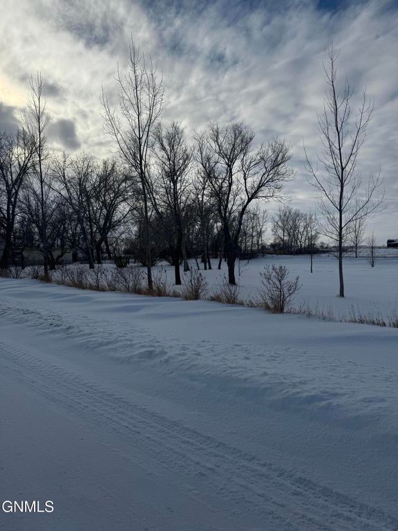4 Lots On Pierce Street, Noonan, ND 58765 photo 4