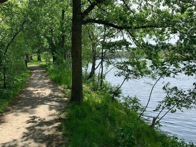 26 Waverly Street 202, Boston, MA 02135