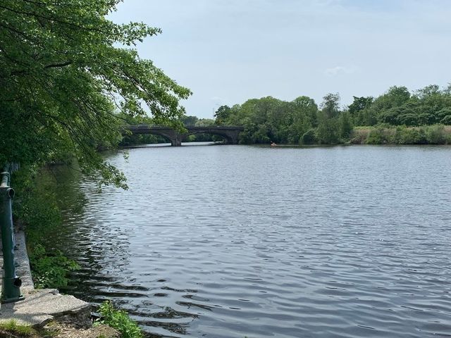 26 Waverly Street 202, Boston, MA 02135