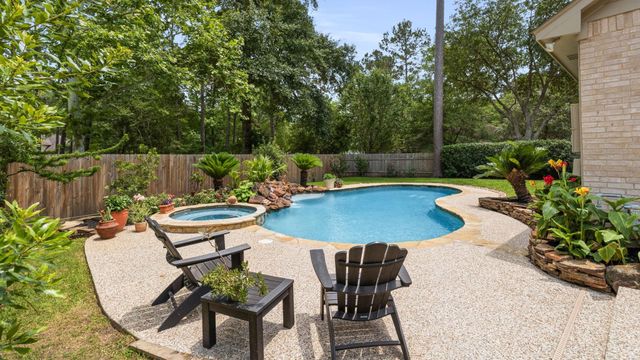 2 Harmony Arbor Court, The Woodlands, TX 77382