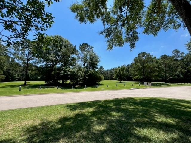 2 Harmony Arbor Court, The Woodlands, TX 77382