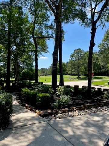 2 Harmony Arbor Court, The Woodlands, TX 77382