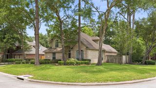 2 Harmony Arbor Court, The Woodlands, TX 77382