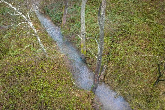 15501 Little Valley Rd, Grass Valley, CA 95949