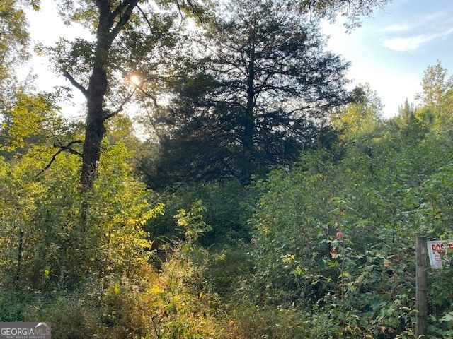 0 Bradfield Drive, Lagrange, GA 30240