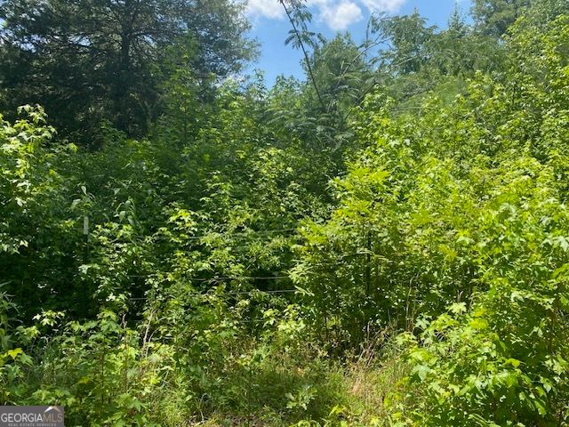 0 Bradfield Drive, Lagrange, GA 30240