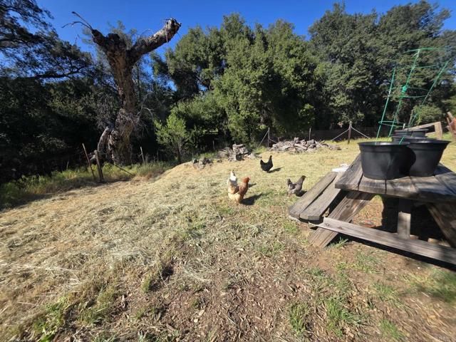 1524 Potrero Circle, Potrero, CA 91963