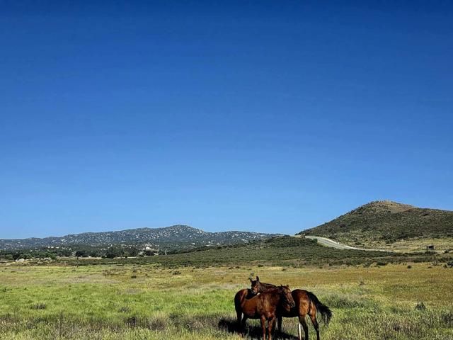 1524 Potrero Circle, Potrero, CA 91963