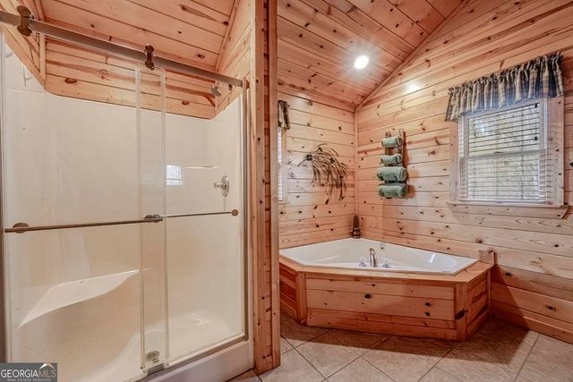 225 Hiawatha Trail, Blue Ridge, GA 30513