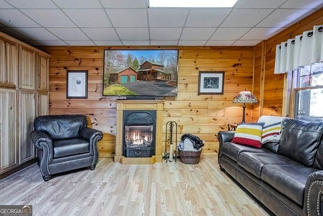 225 Hiawatha Trail, Blue Ridge, GA 30513