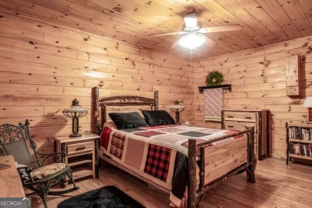 225 Hiawatha Trail, Blue Ridge, GA 30513