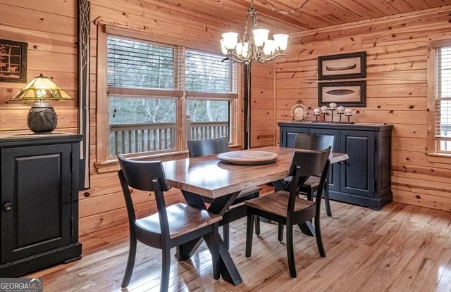 225 Hiawatha Trail, Blue Ridge, GA 30513