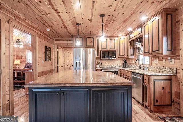 225 Hiawatha Trail, Blue Ridge, GA 30513