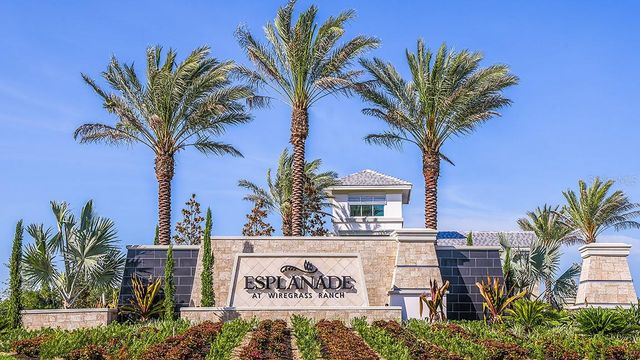 3816 IMMACOLATA WAY, Wesley Chapel, FL 33543