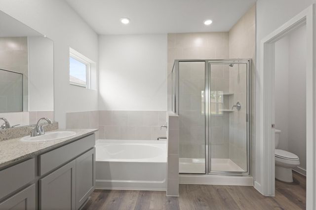 26114 Venus Trap Trail, Katy, TX 77493