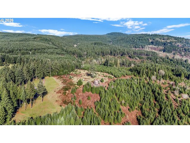 88901 MCKENZIE ACRES Dr, Springfield, OR 97478
