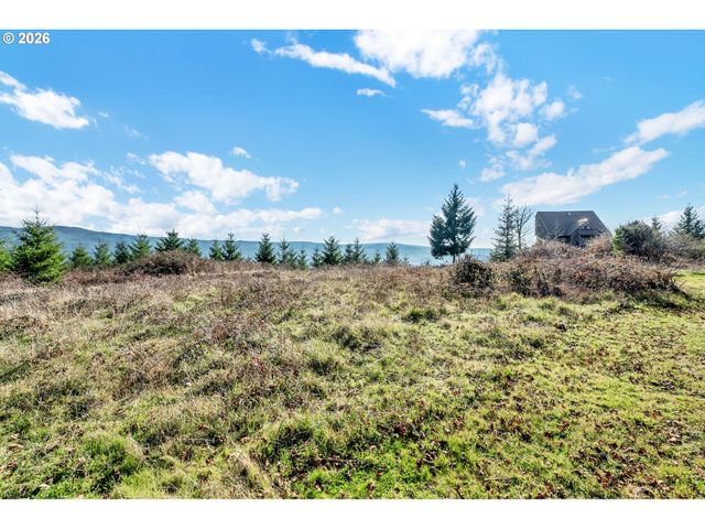 88901 MCKENZIE ACRES Dr, Springfield, OR 97478