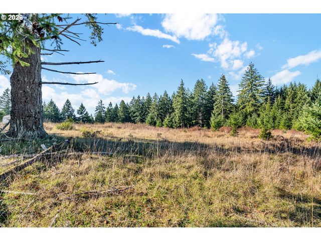 88901 MCKENZIE ACRES Dr, Springfield, OR 97478
