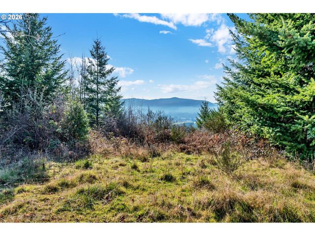88901 MCKENZIE ACRES Dr, Springfield, OR 97478