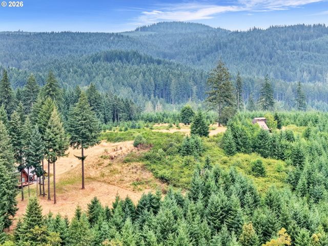 88901 MCKENZIE ACRES Dr, Springfield, OR 97478