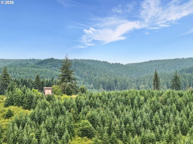 88901 MCKENZIE ACRES Dr, Springfield, OR 97478