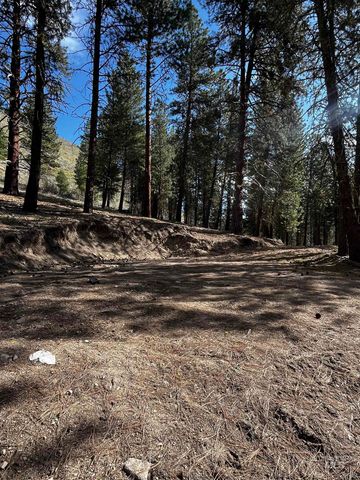 4395 N Pine Featherville Rd, Featherville, ID 83647