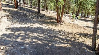 4395 N Pine Featherville Rd, Featherville, ID 83647