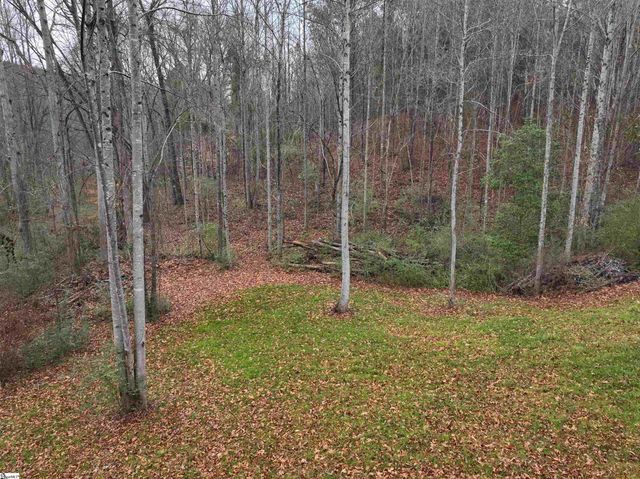 615 Generostee Church Road, Starr, SC 29684