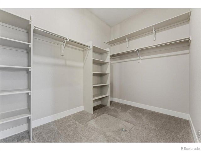 1768 Barefoot Drive, Windsor, CO 80550