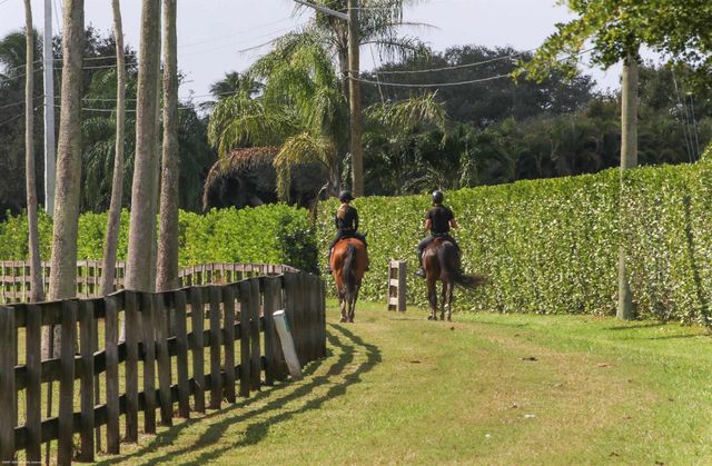 2312 Appaloosa Trail, Wellington, FL 33414