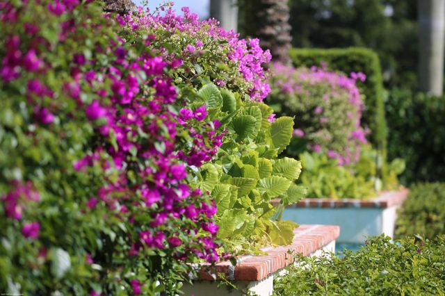 2312 Appaloosa Trail, Wellington, FL 33414