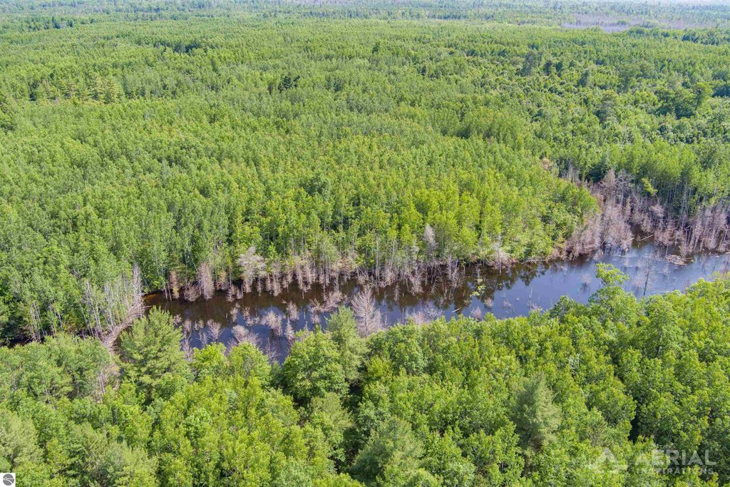 Image 1 of property listing at 0 Co Road 646, Rogers City, MI 49779