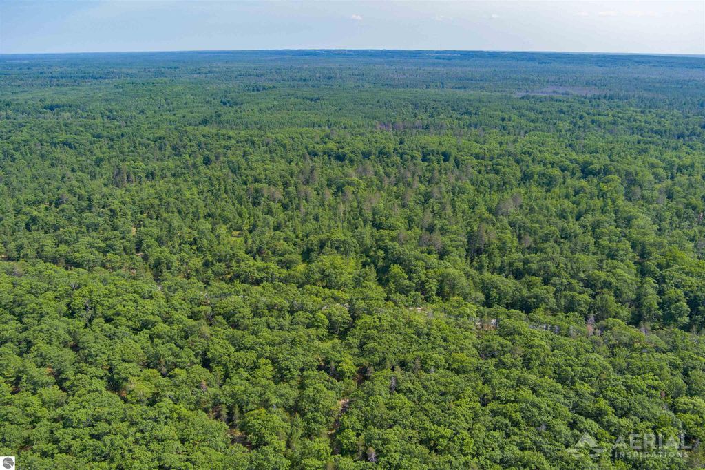 Image 12 of property listing at 0 Co Road 646, Rogers City, MI 49779