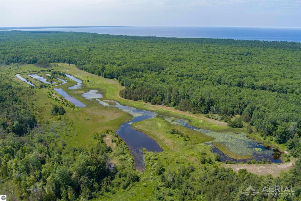 Image 4 of property listing at 0 Co Road 646, Rogers City, MI 49779