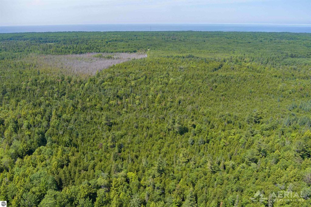 Image 6 of property listing at 0 Co Road 646, Rogers City, MI 49779