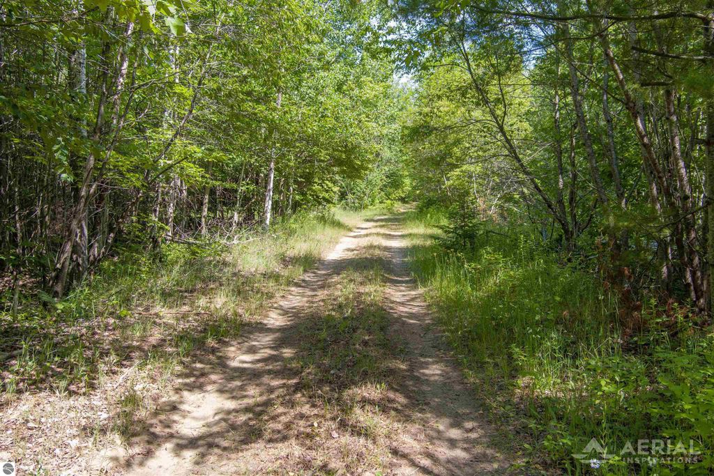 Image 7 of property listing at 0 Co Road 646, Rogers City, MI 49779