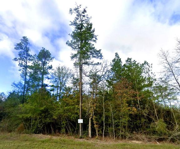 10699 Ruger Road, Willis, TX 77378