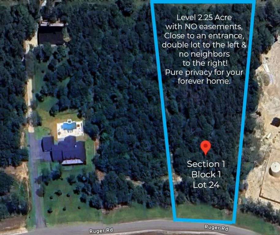 10699 Ruger Road, Willis, TX 77378