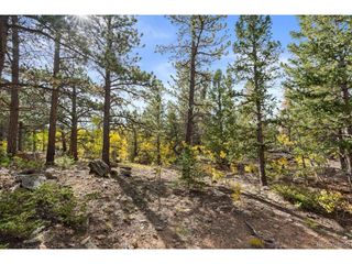 Pinon, Black Hawk, CO 80422